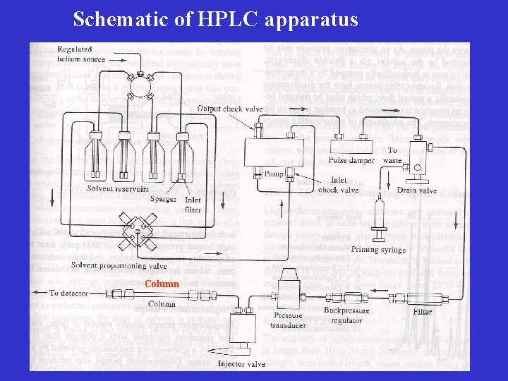 Schematic of HPLC apparatus Column 