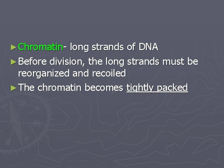 ► Chromatin- long strands of DNA ► Before division, the long strands must be ► Chromatin- long strands of DNA ► Before division, the long strands must be