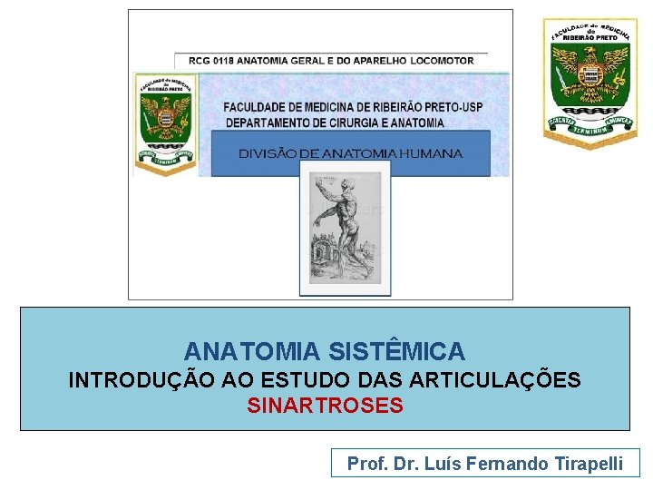 ANATOMIA SISTÊMICA INTRODUÇÃO AO ESTUDO DAS ARTICULAÇÕES SINARTROSES Prof. Dr. Luís Fernando Tirapelli 