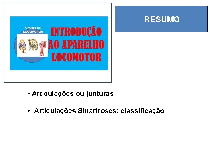 RESUMO • Articulações ou junturas • Articulações Sinartroses: classificação 