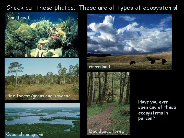 Check out these photos. These are all types of ecosystems! Coral reef Grassland Pine