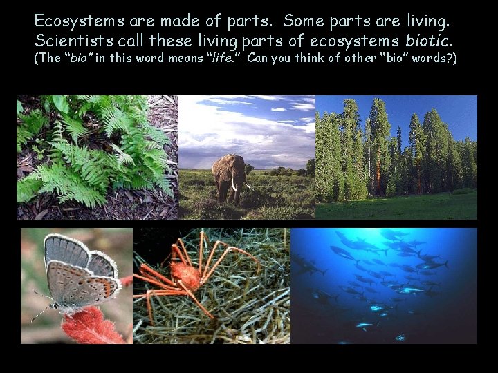 Ecosystems are made of parts. Some parts are living. Scientists call these living parts
