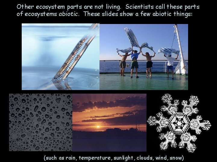 Other ecosystem parts are not living. Scientists call these parts of ecosystems abiotic. These