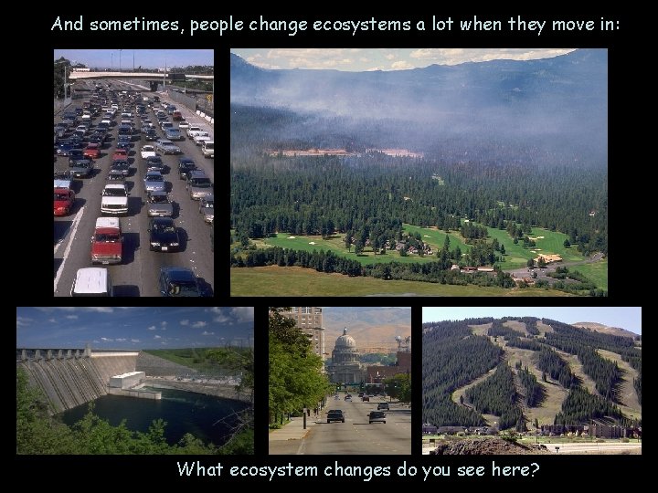 And sometimes, people change ecosystems a lot when they move in: What ecosystem changes