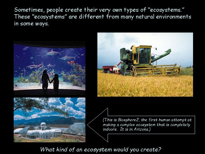 Sometimes, people create their very own types of “ecosystems. ” These “ecosystems” are different