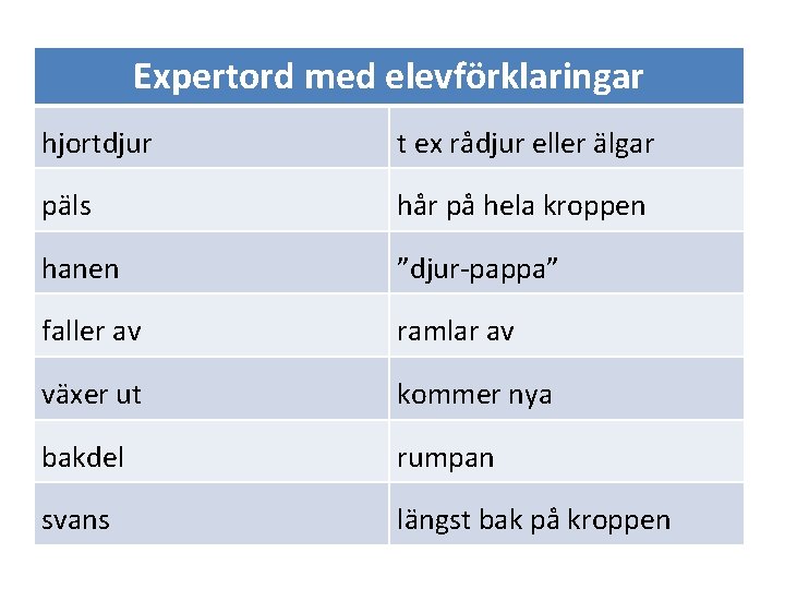 Expertord med elevförklaringar hjortdjur t ex rådjur eller älgar päls hår på hela kroppen