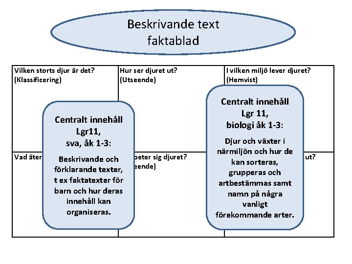 Beskrivande text faktablad Vilken storts djur är det? (Klassificering) Hur ser djuret ut? (Utseende)