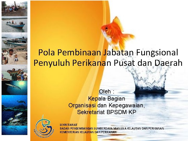 Pola Pembinaan Jabatan Fungsional Penyuluh Perikanan Pusat dan Daerah Oleh : Kepala Bagian Organisasi