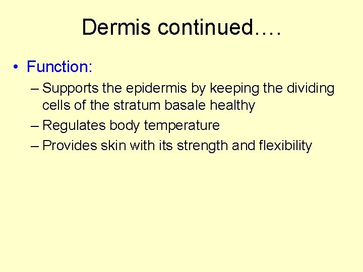 Dermis continued…. • Function: – Supports the epidermis by keeping the dividing cells of Dermis continued…. • Function: – Supports the epidermis by keeping the dividing cells of