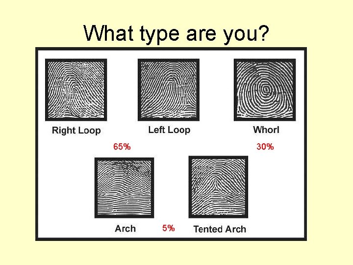 What type are you? 65% 30% 5% What type are you? 65% 30% 5%