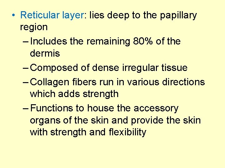 • Reticular layer: lies deep to the papillary region – Includes the remaining • Reticular layer: lies deep to the papillary region – Includes the remaining