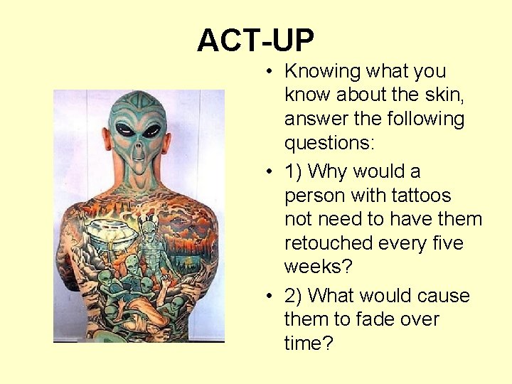 ACT-UP • Knowing what you know about the skin, answer the following questions: • ACT-UP • Knowing what you know about the skin, answer the following questions: •