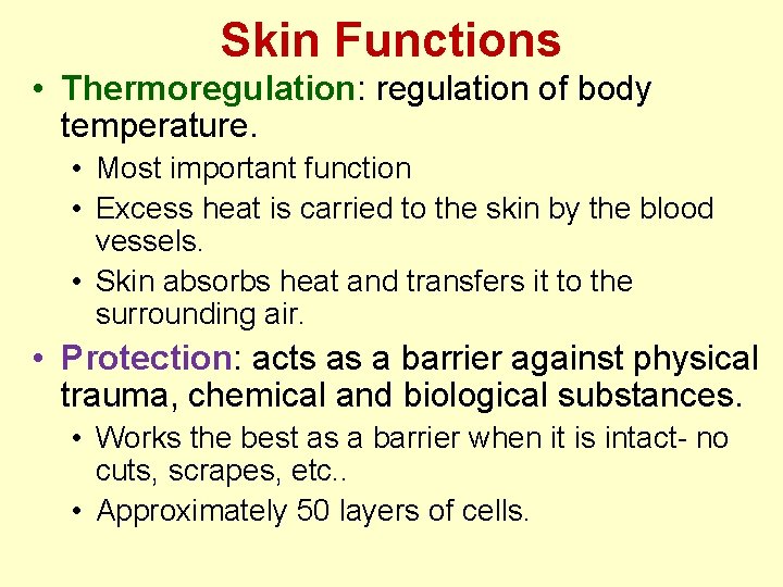 Skin Functions • Thermoregulation: regulation of body temperature. • Most important function • Excess Skin Functions • Thermoregulation: regulation of body temperature. • Most important function • Excess