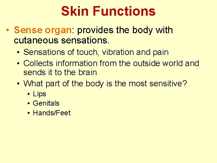 Skin Functions • Sense organ: provides the body with cutaneous sensations. • Sensations of Skin Functions • Sense organ: provides the body with cutaneous sensations. • Sensations of