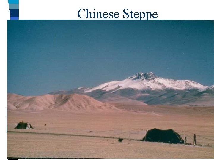 Chinese Steppe 