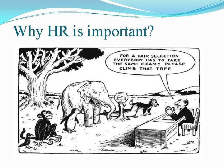 Why HR is important? 
