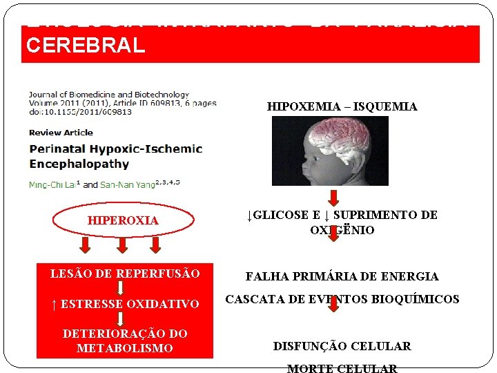 ETIOLOGIA INTRAPARTO DA PARALISIA CEREBRAL HIPOXEMIA – ISQUEMIA HIPEROXIA ↓GLICOSE E ↓ SUPRIMENTO DE