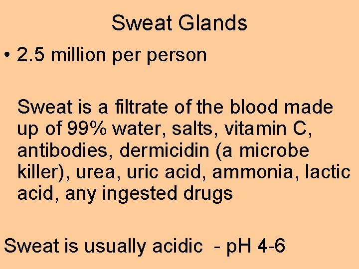 Sweat Glands • 2. 5 million person Sweat is a filtrate of the blood