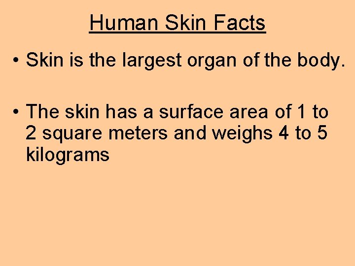 Human Skin Facts • Skin is the largest organ of the body. • The