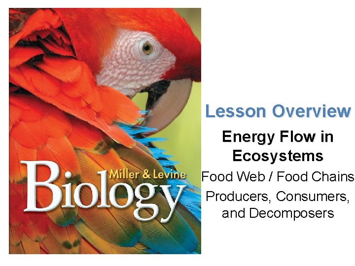 Lesson Overview Energy, Producers, and Consumers Lesson Overview Energy Flow in Ecosystems Food Web