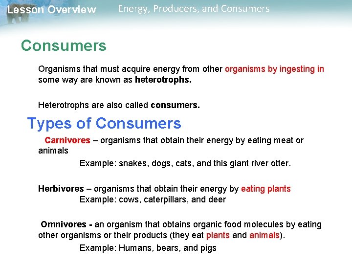 Lesson Overview Energy, Producers, and Consumers Organisms that must acquire energy from other organisms