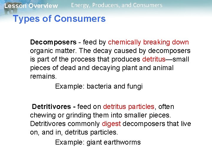 Lesson Overview Energy, Producers, and Consumers Types of Consumers Decomposers - feed by chemically