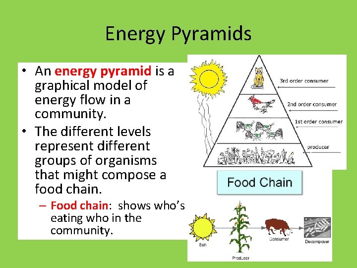 Energy Pyramids • An energy pyramid is a graphical model of energy flow in