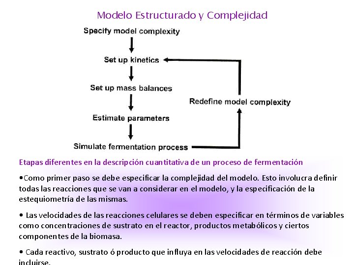 Modelo Estructurado y Complejidad Etapas diferentes en la descripción cuantitativa de un proceso de