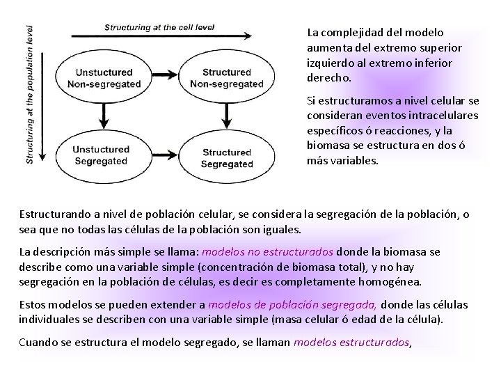 La complejidad del modelo aumenta del extremo superior izquierdo al extremo inferior derecho. Si