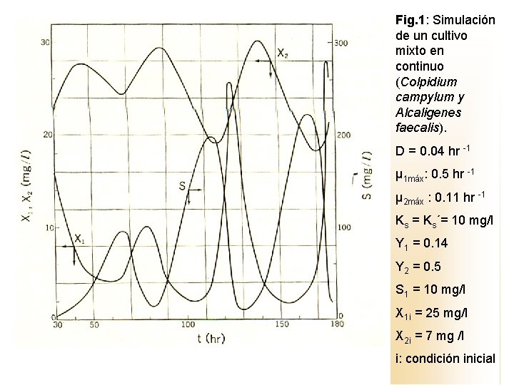 Fig. 1: Simulación de un cultivo mixto en continuo (Colpidium campylum y Alcaligenes faecalis).