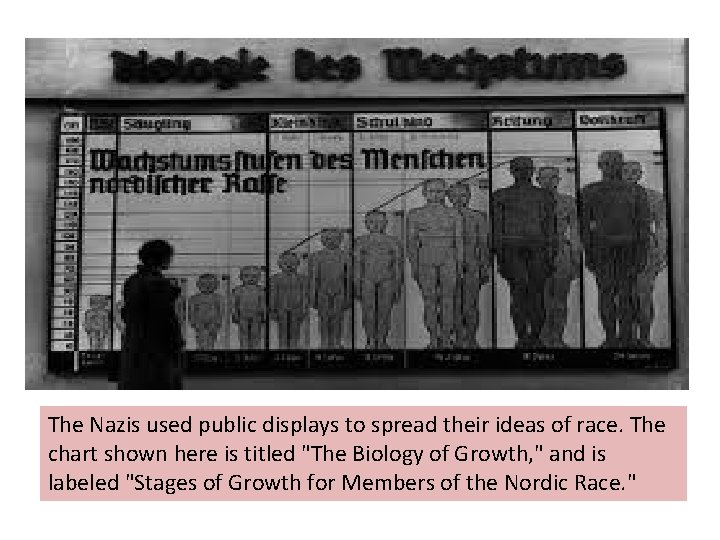 The Nazis used public displays to spread their ideas of race. The chart shown