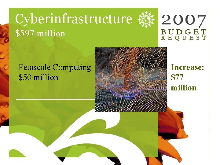 Cyberinfrastructure $597 million Petascale Computing $50 million Increase: $77 million 