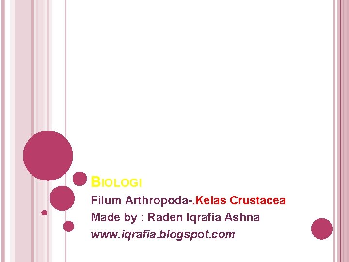 BIOLOGI Filum Arthropoda-. Kelas Crustacea Made by : Raden Iqrafia Ashna www. iqrafia. blogspot.