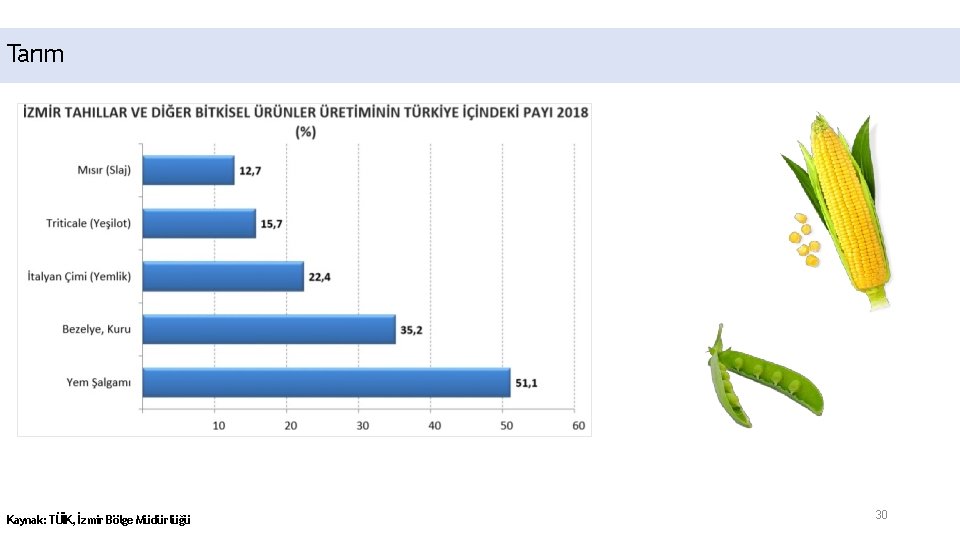 Tarım Kaynak: TÜİK, İzmir Bölge Müdürlüğü 30 