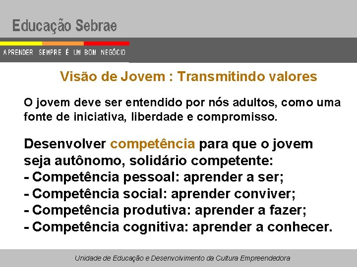 Visão de Jovem : Transmitindo valores O jovem deve ser entendido por nós adultos,