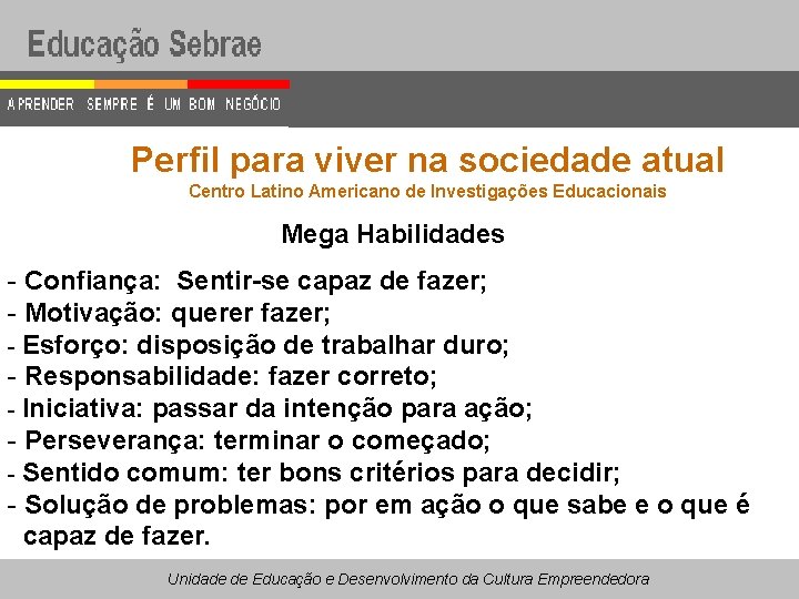 Perfil para viver na sociedade atual Centro Latino Americano de Investigações Educacionais Mega Habilidades