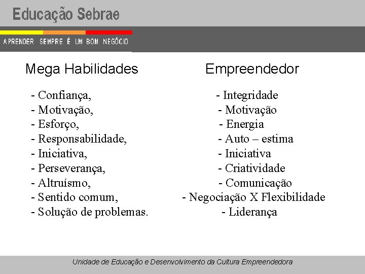 Mega Habilidades - Confiança, - Motivação, - Esforço, - Responsabilidade, - Iniciativa, - Perseverança,