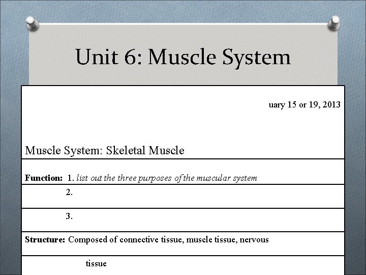 Unit 6: Muscle System uary 15 or 19, 2013 Muscle System: Skeletal Muscle Function: