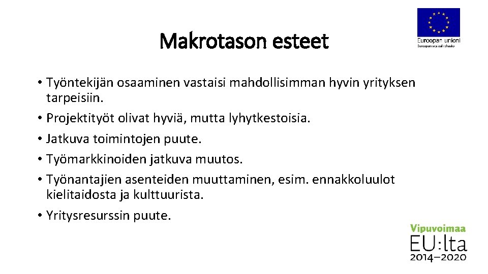 Makrotason esteet • Työntekijän osaaminen vastaisi mahdollisimman hyvin yrityksen tarpeisiin. • Projektityöt olivat hyviä,