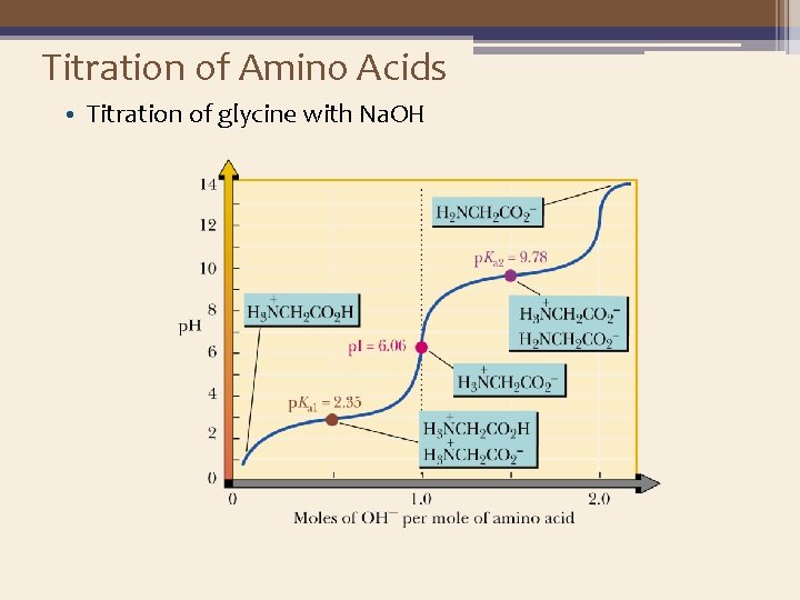 Titration of Amino Acids • Titration of glycine with Na. OH 