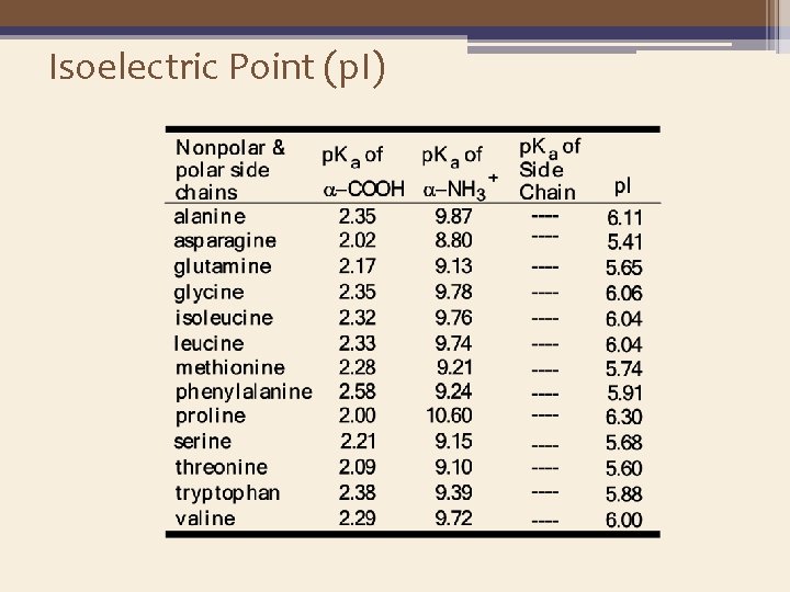 Isoelectric Point (p. I) 