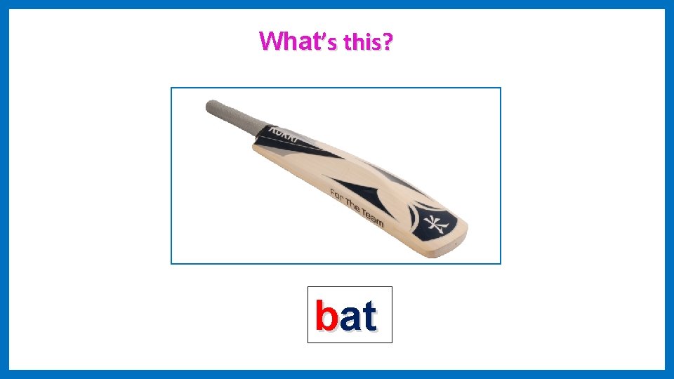 What’s this? bat 