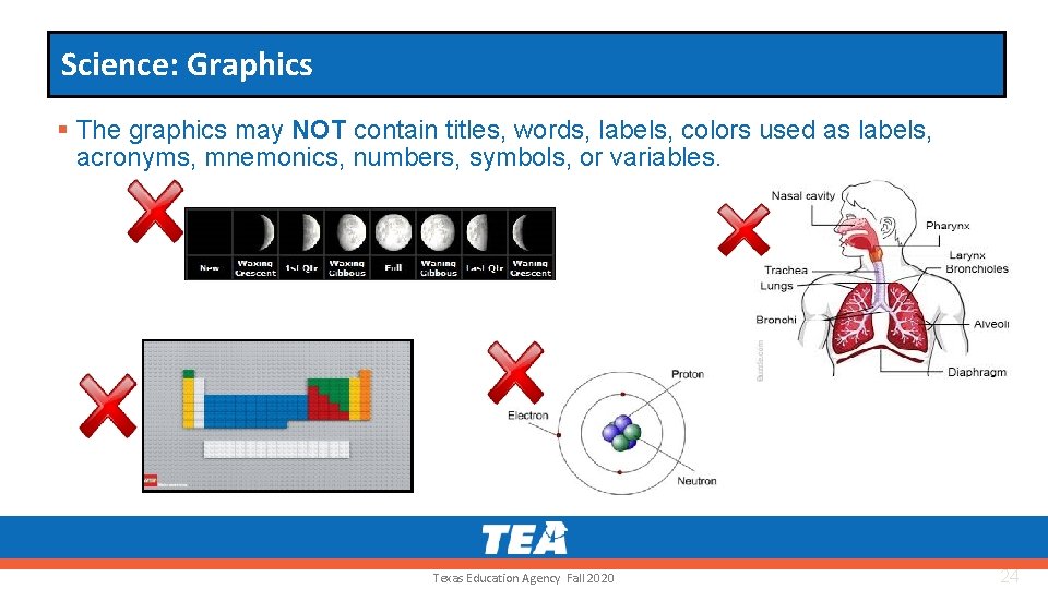 Science: Graphics § The graphics may NOT contain titles, words, labels, colors used as