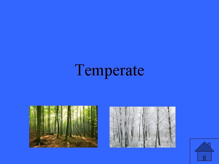 Temperate 