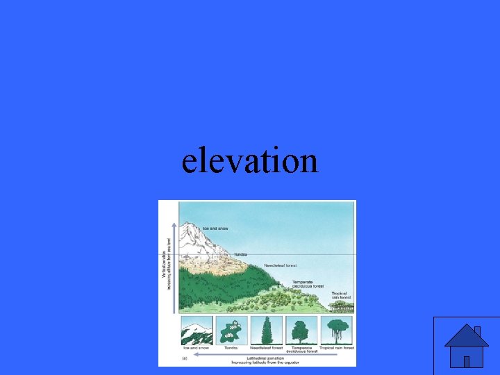 elevation 