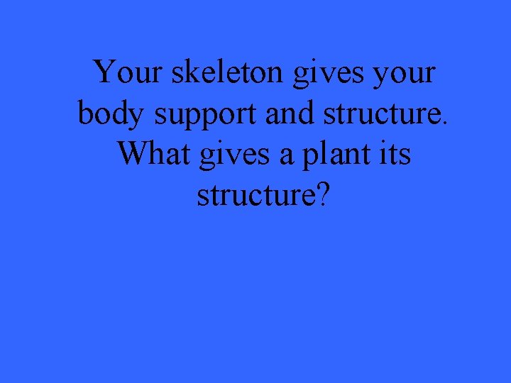 Your skeleton gives your body support and structure. What gives a plant its structure?