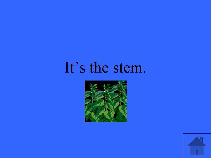 It’s the stem. 