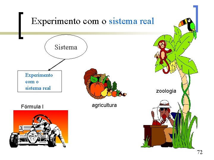 Experimento com o sistema real Sistema Experimento com o sistema real Fórmula I zoologia