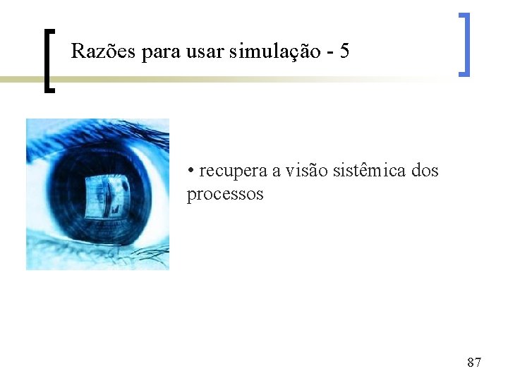 Razões para usar simulação - 5 • recupera a visão sistêmica dos processos 87