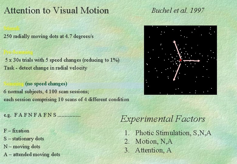 Visual Bayesian Model Bayesian Model Comparison LargeScale Neural Network models fitted